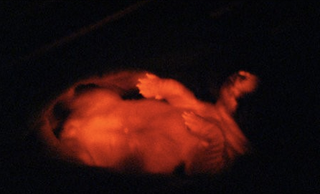 Illustration for article titled Mad Scientists Have Created a Glow in the Dark Dog